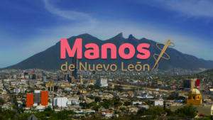 Lee más sobre el artículo Manos Nuevo León